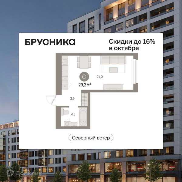 Планировка квартиры: Студия · 29,22 м²