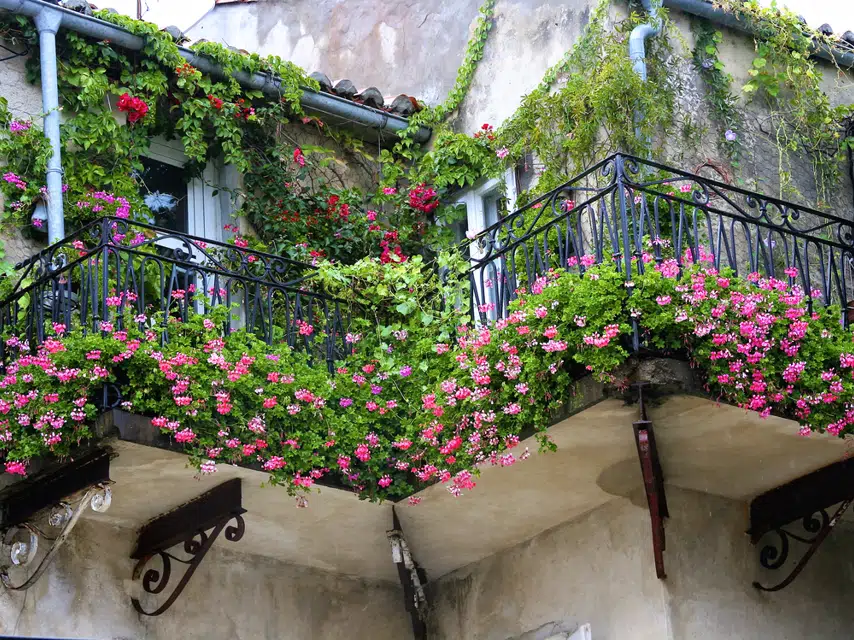 Как обустроить сад и огород на балконе №1