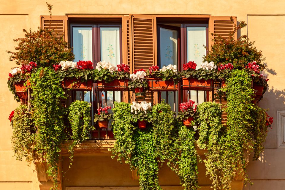 Ящики для цветов на балкон своими руками