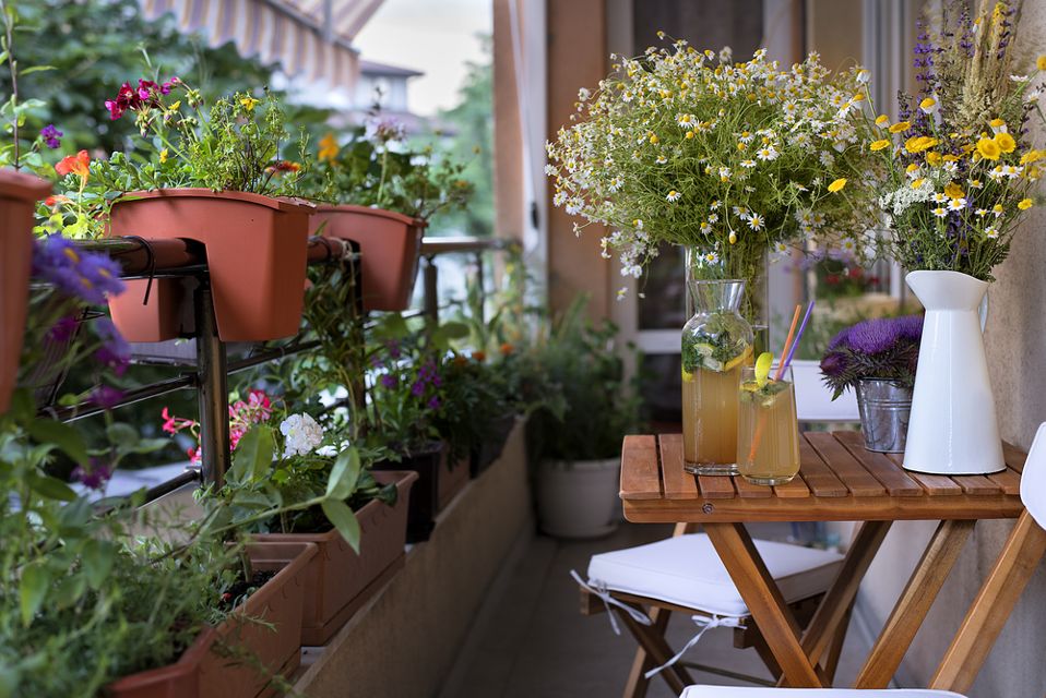 Как обустроить сад и огород на балконе