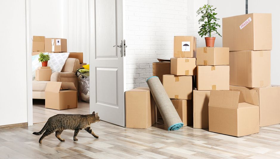 Как переехать в новую квартиру без проблем 