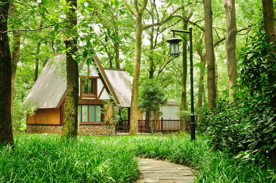 7 уютных домиков в лесу