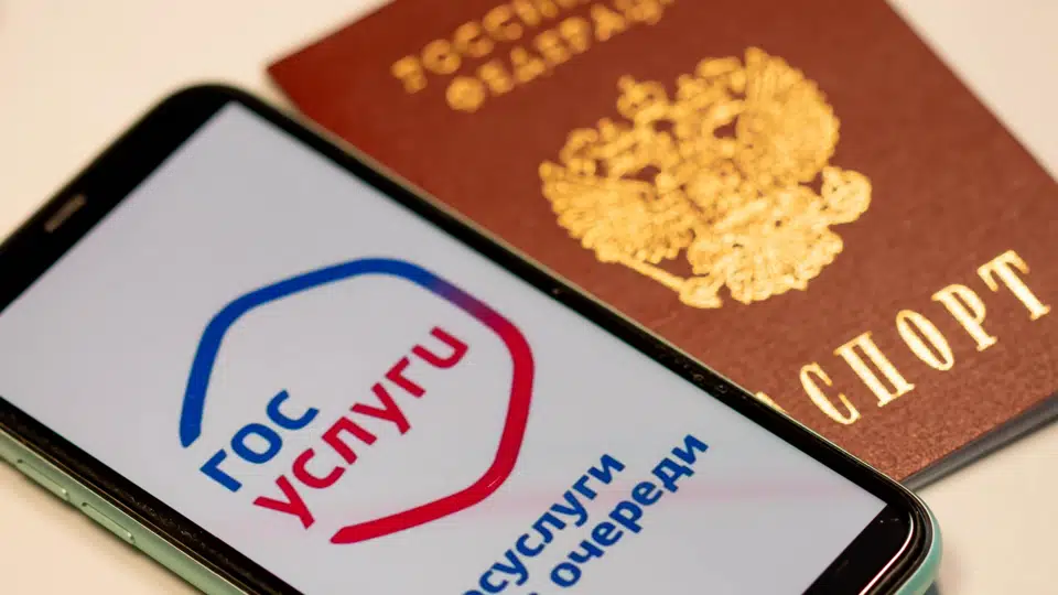 На «Госуслугах» теперь можно проверить подлинность паспорта