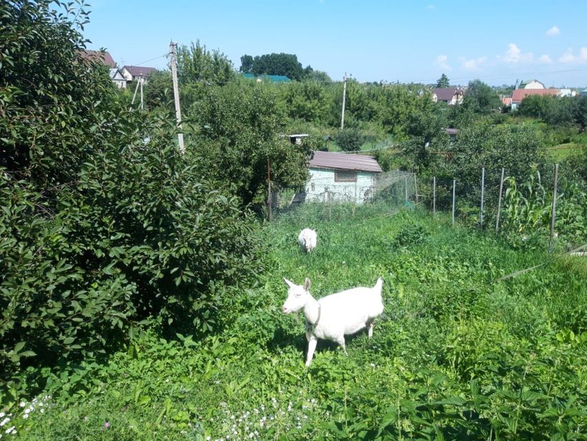 Ремонт мебели село покрово пригородное