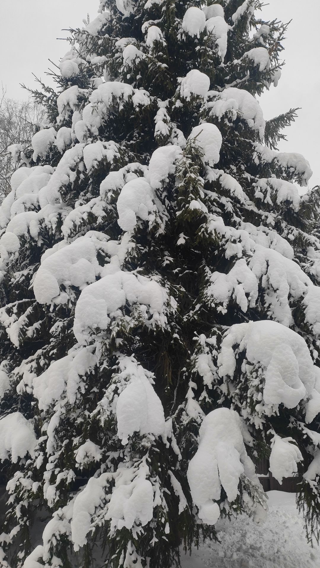 Фото проекта дома Техас R 96