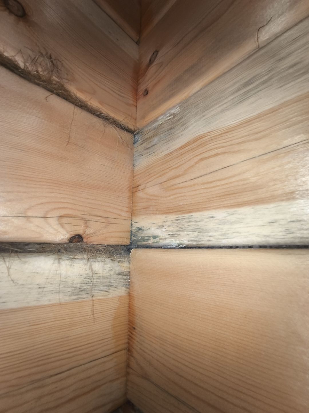 Фото проекта дома 