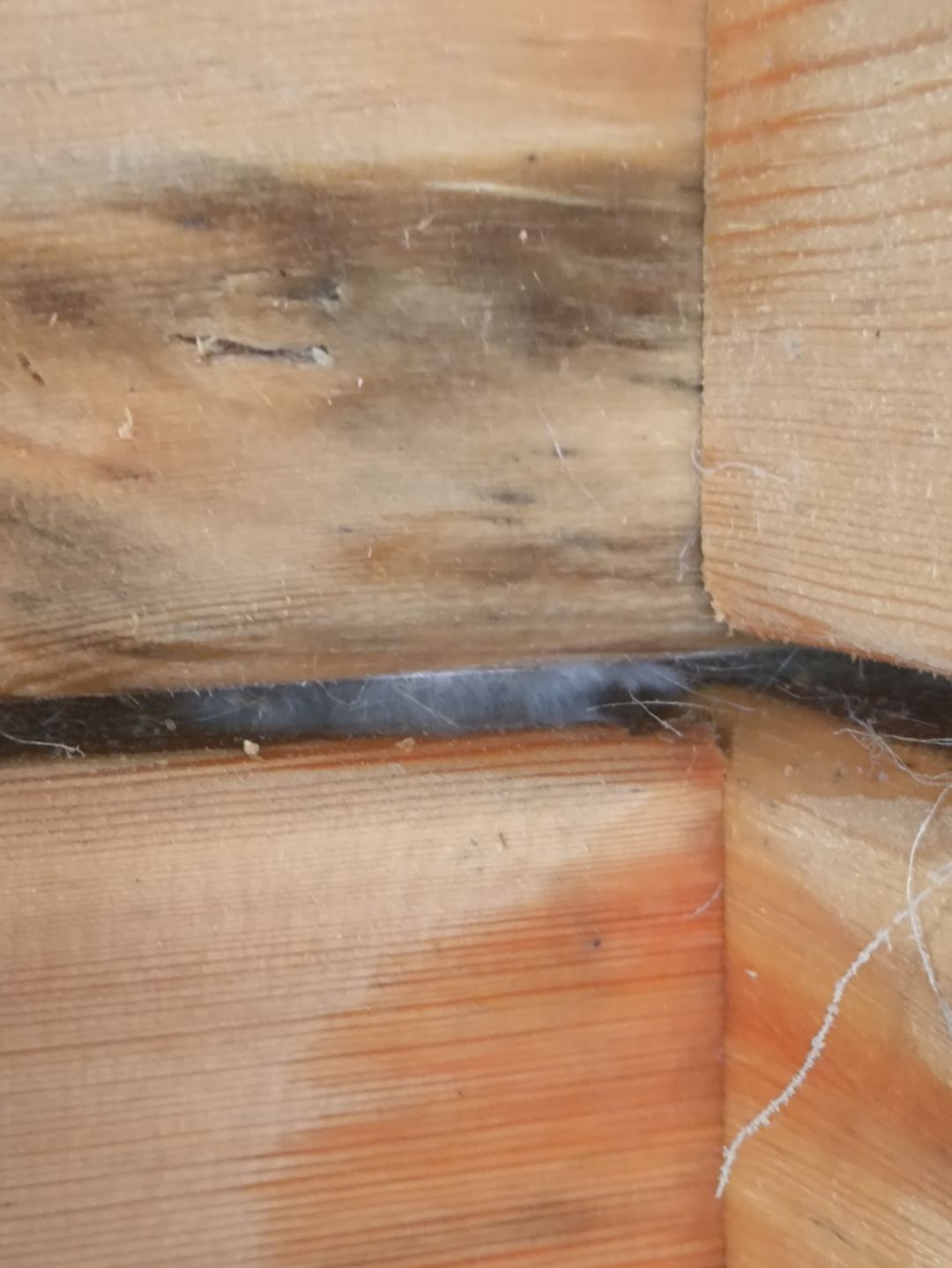 Фото проекта дома 