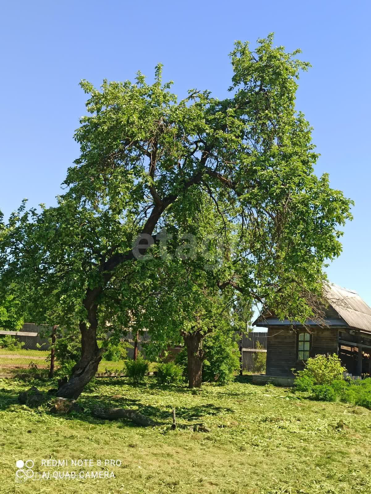 Купить дом, 38 м² по адресу Тверская область, Калининский муниципальный  округ, деревня Обухово за 2 350 000 руб. в Домклик — поиск, проверка,  безопасная сделка с жильем в офисе Сбербанка.