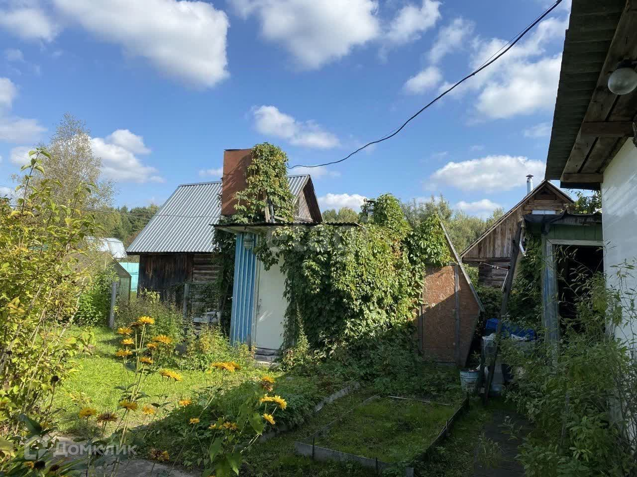 Продам снт солнечный. Продам снт солнечный. Продам снт солнечный. Фото дачных участков. Солнечная дача.
