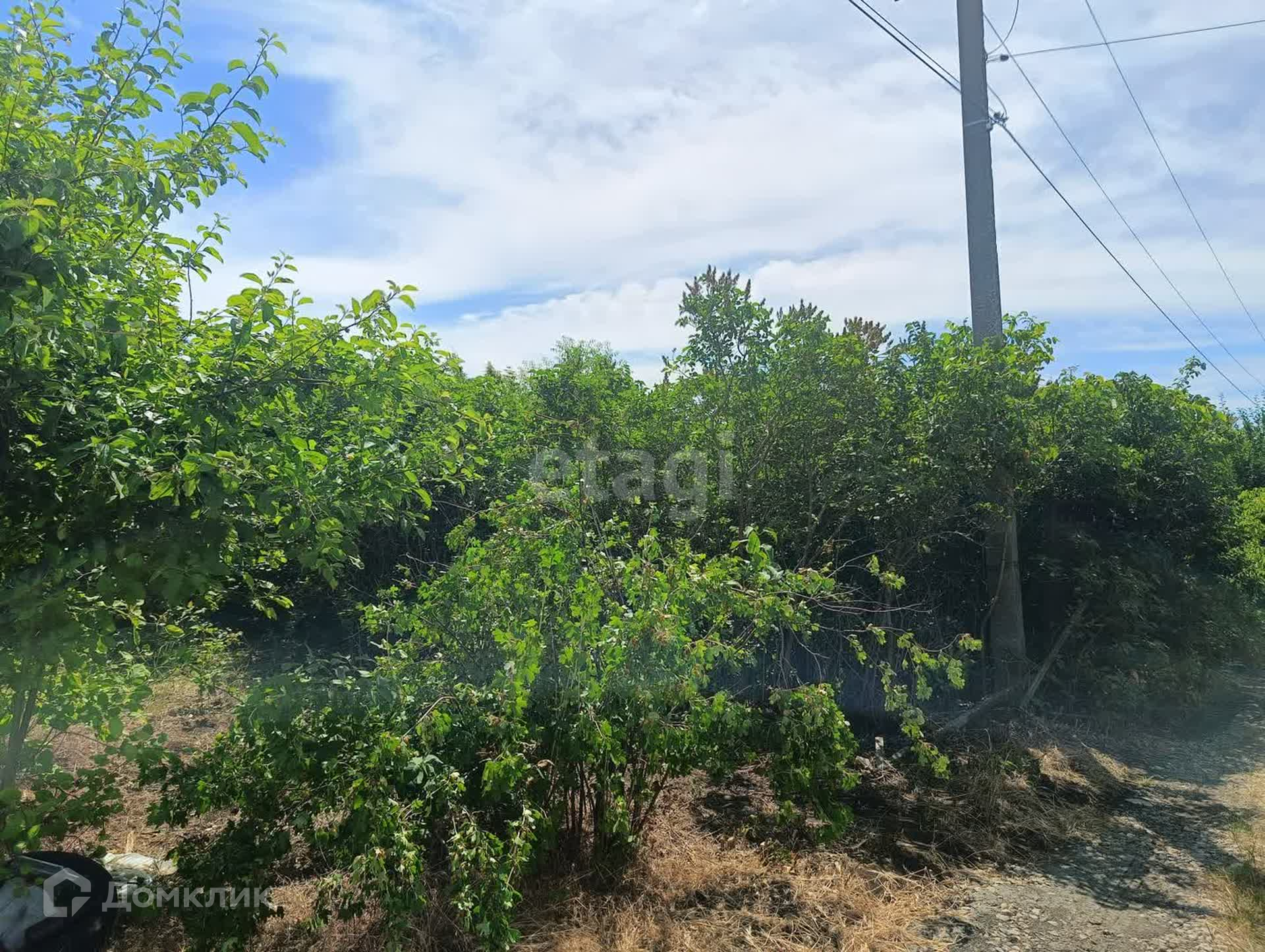 Широчанка ейский район отзывы