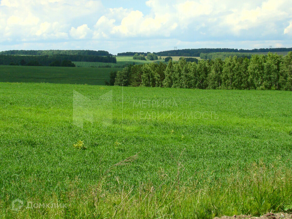 Можно Купить Участок Без Межевания