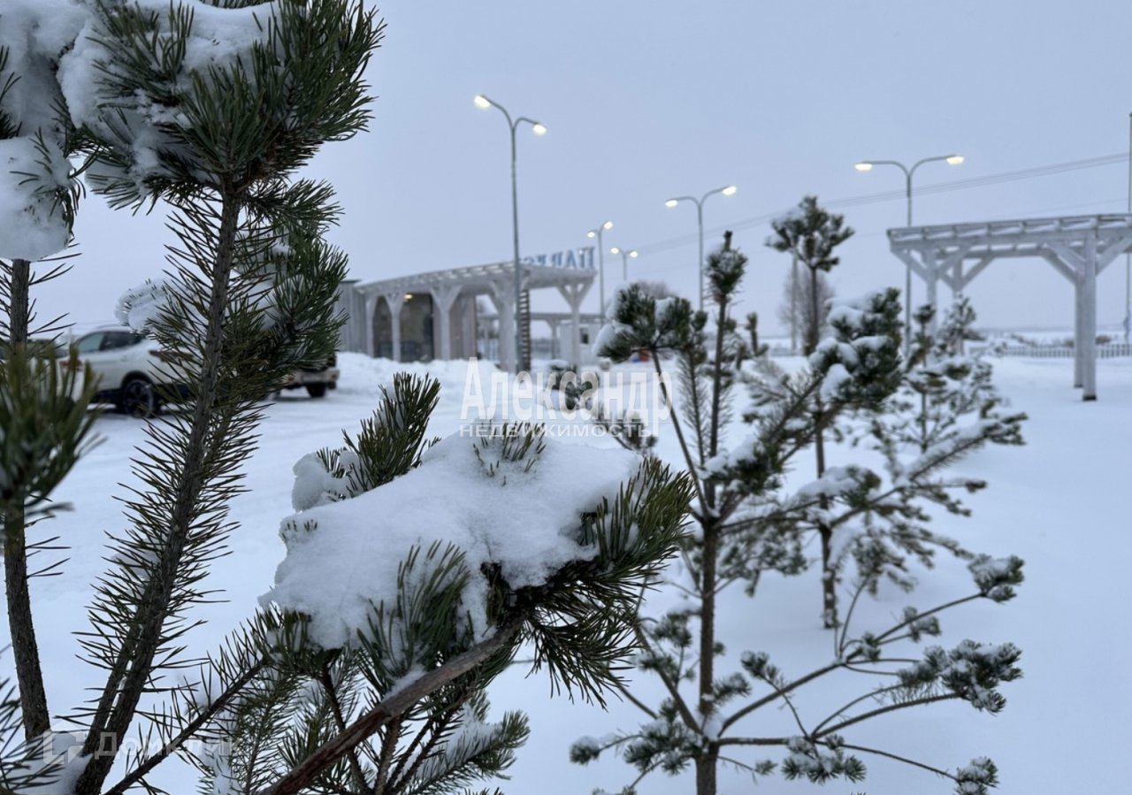 Купить участок, 7 сот. по адресу Ленинградская область, Гатчинский район,  Пудомягское сельское поселение, коттеджный посёлок Павловская жемчужина за  690 000 руб. в Домклик — поиск, проверка, безопасная сделка с жильем в  офисе Сбербанка.