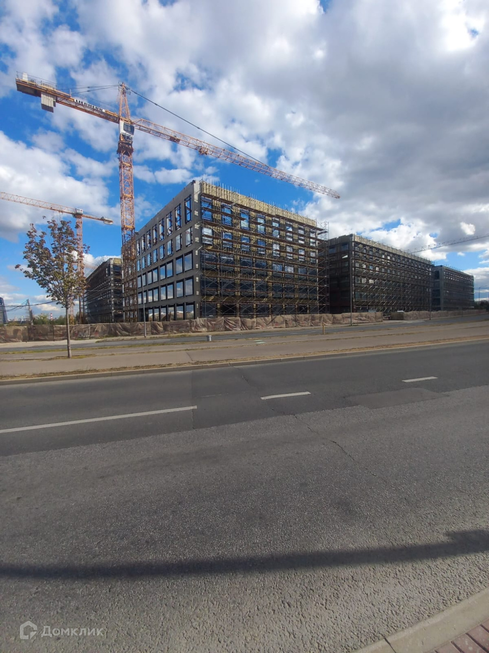 Коллаген Сколково Купить На Вайлдберриз
