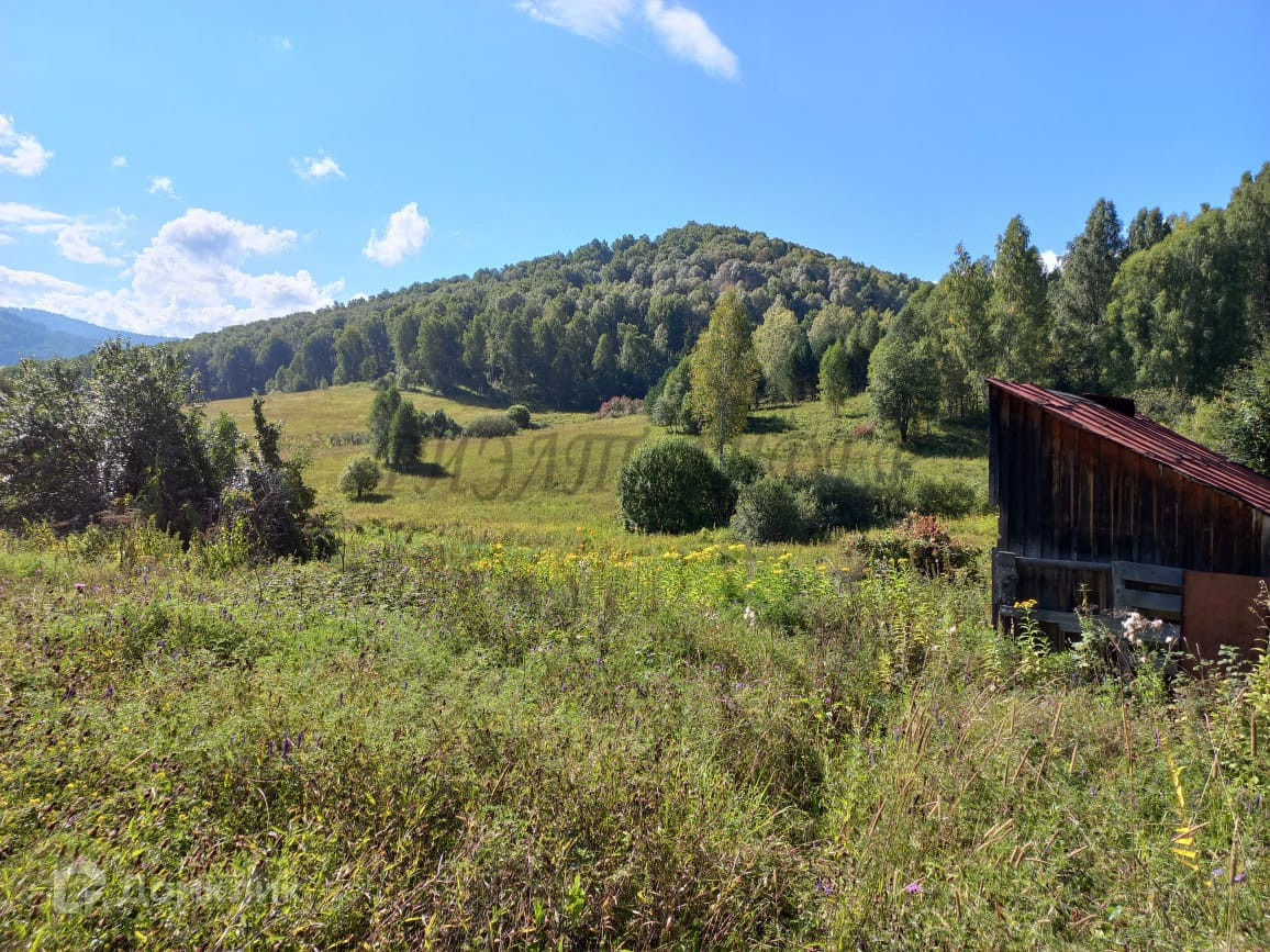 Поселок филиал. Село Майорка Алтайский край. Село Майорка Чарышский район. Майорка Чарышский район Алтайский край. Село Майорка Чарышский район Алтайский.