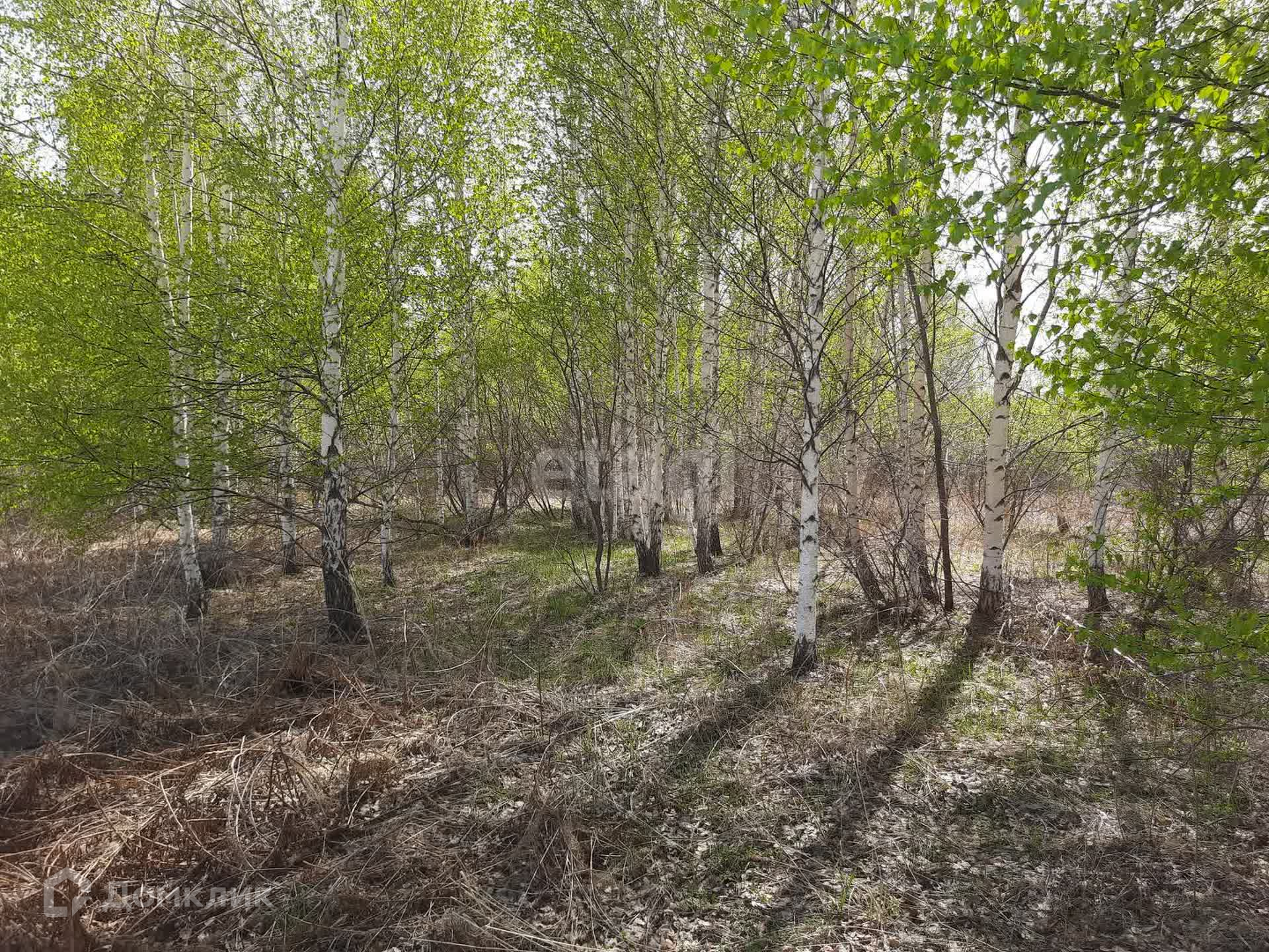 Екатеринбург Зеленый Город Чкаловский Район Купить Участок