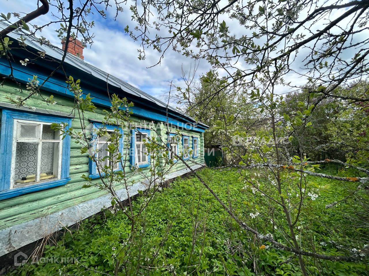 дом клик касимов (100) фото