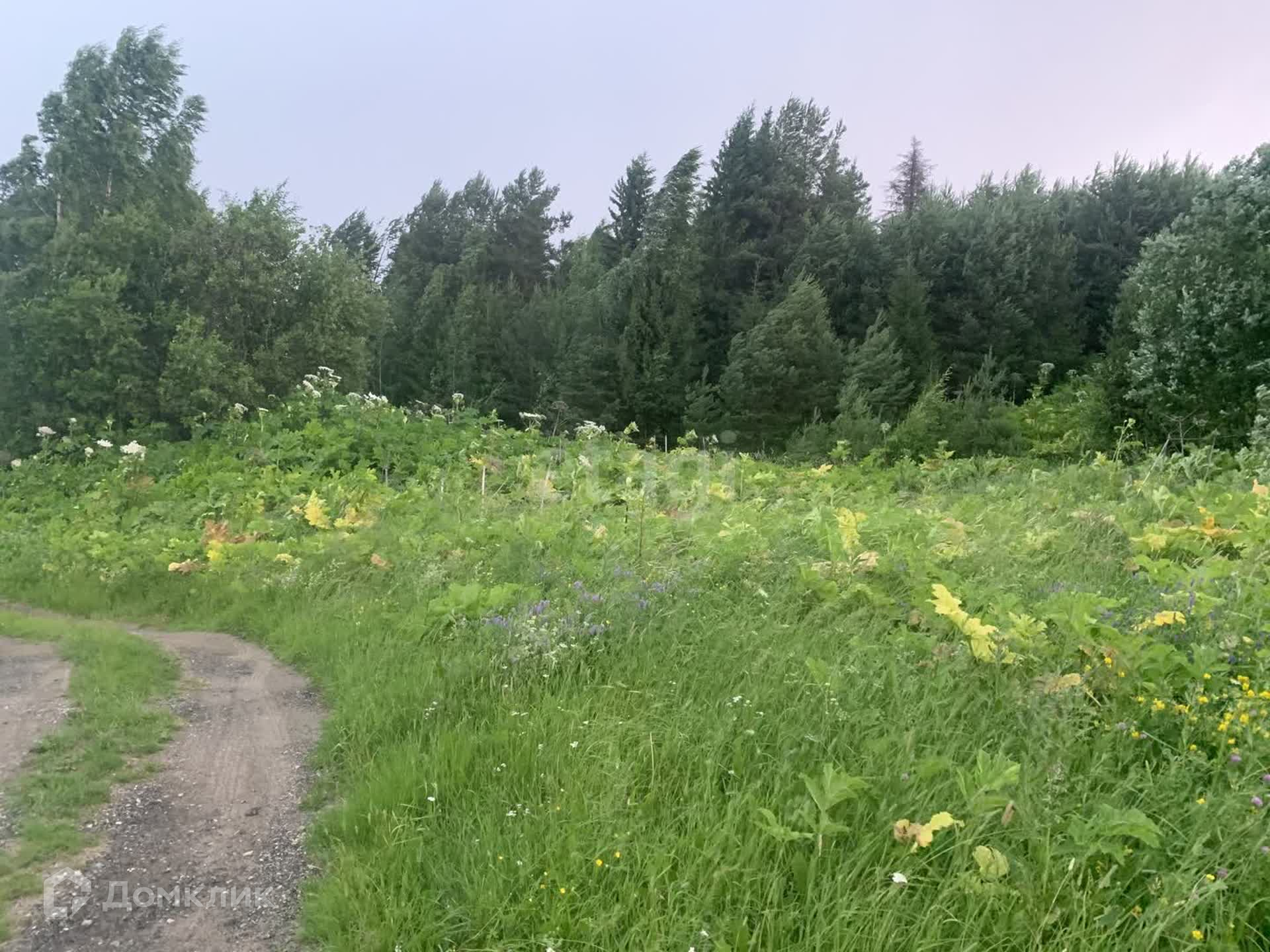 Купить Дом В Сыктывдинском Районе Республики Коми