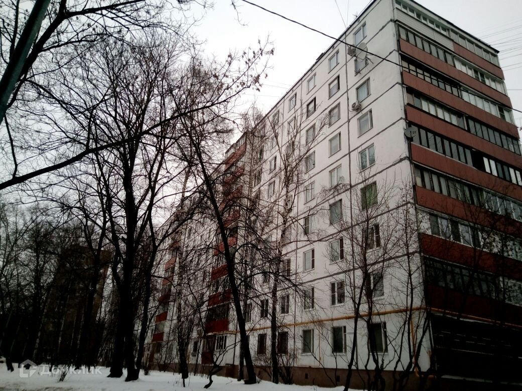 Докукина карина томск