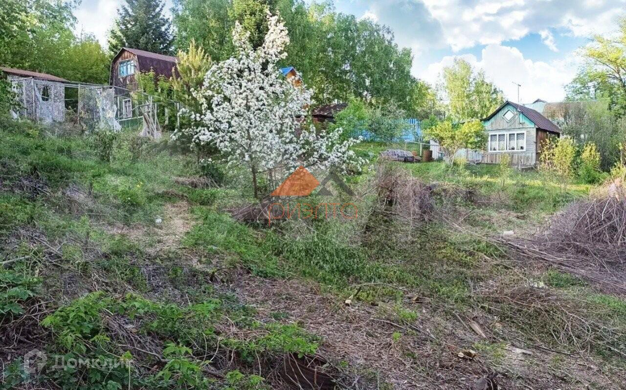 Снт Новосибирск Купить