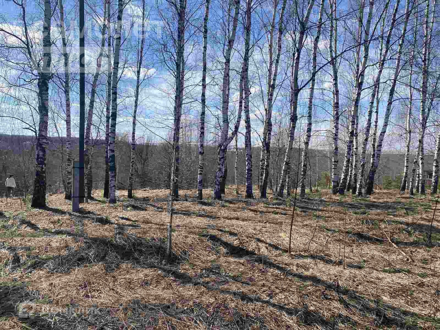 Лисьи ямки погода нижегородская область Лисьи ямки погода нижегородская область