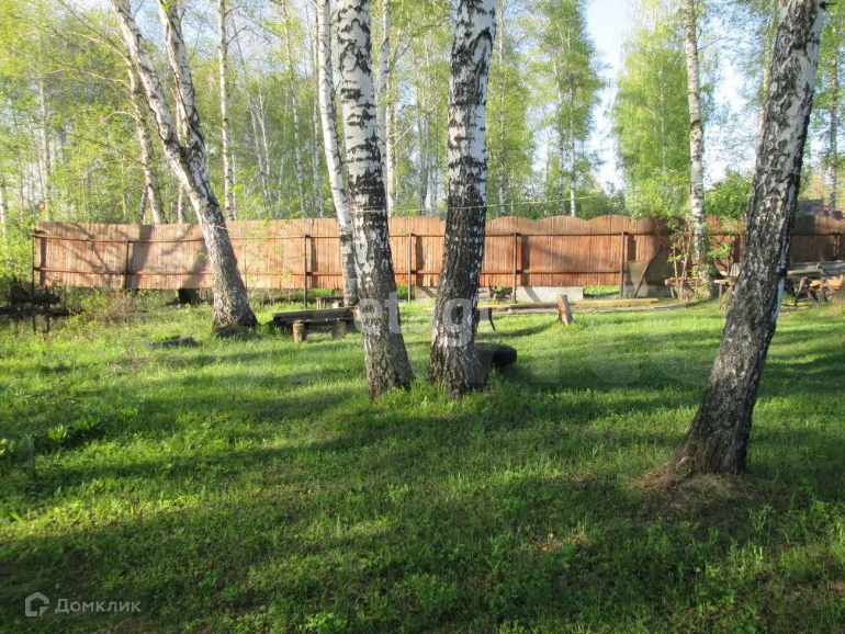 Село силино кемеровская область. Станция сады новосибирск фото. Личные подсобные хозяйства. Новосибирский лпх. Чешская коричневая короткошерстная линия роклан.