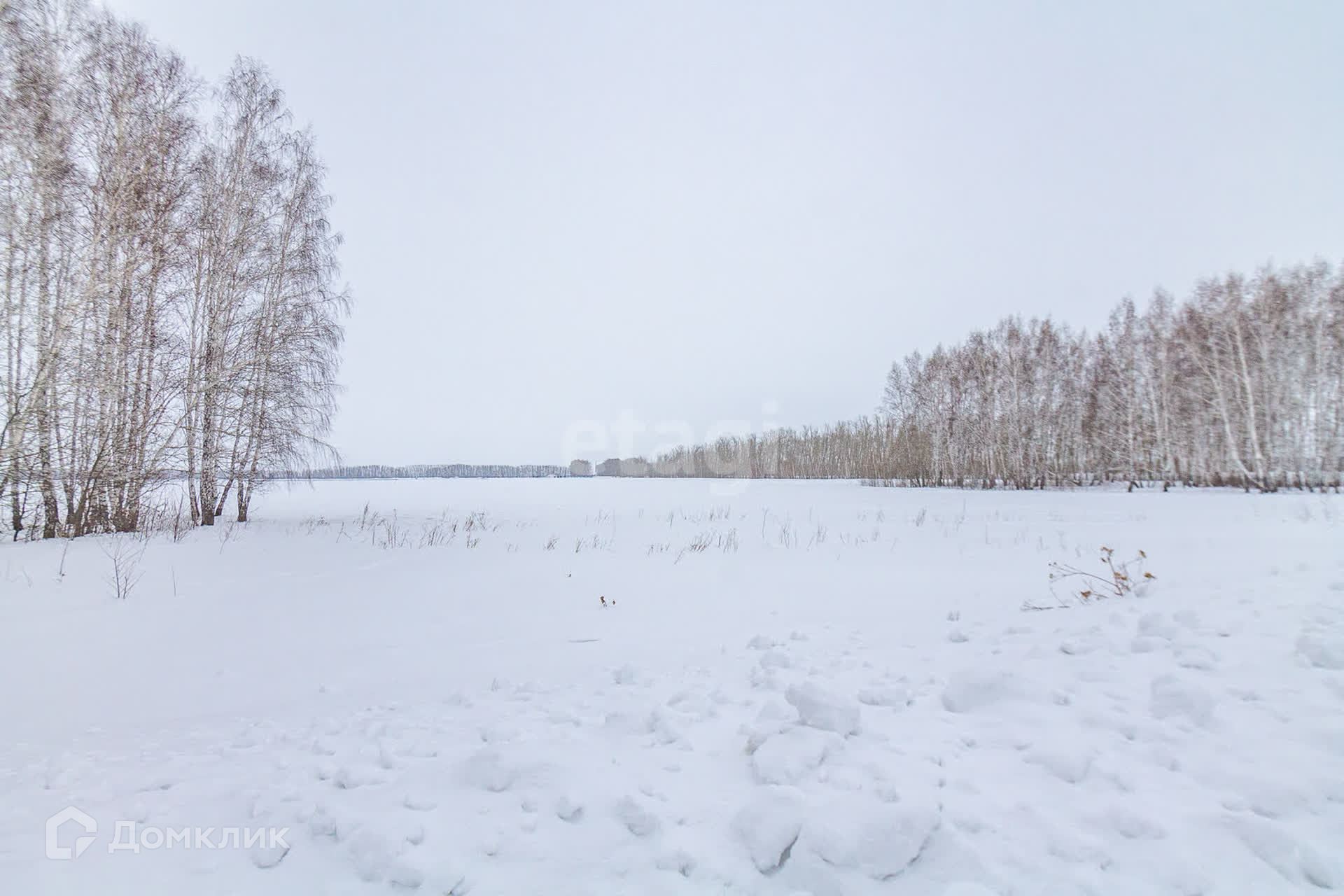 Купить Участок В Пушкино Омская