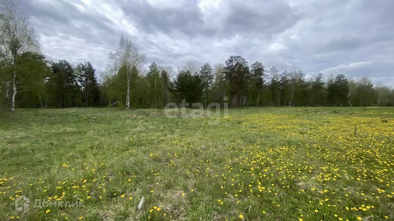 Купить участок, 210 сот., ИЖС по адресу Свердловская область, Полевской  городской округ, посёлок Зелёный Лог за 8 400 000 руб. в Домклик — поиск,  проверка, безопасная сделка с жильем в офисе Сбербанка.