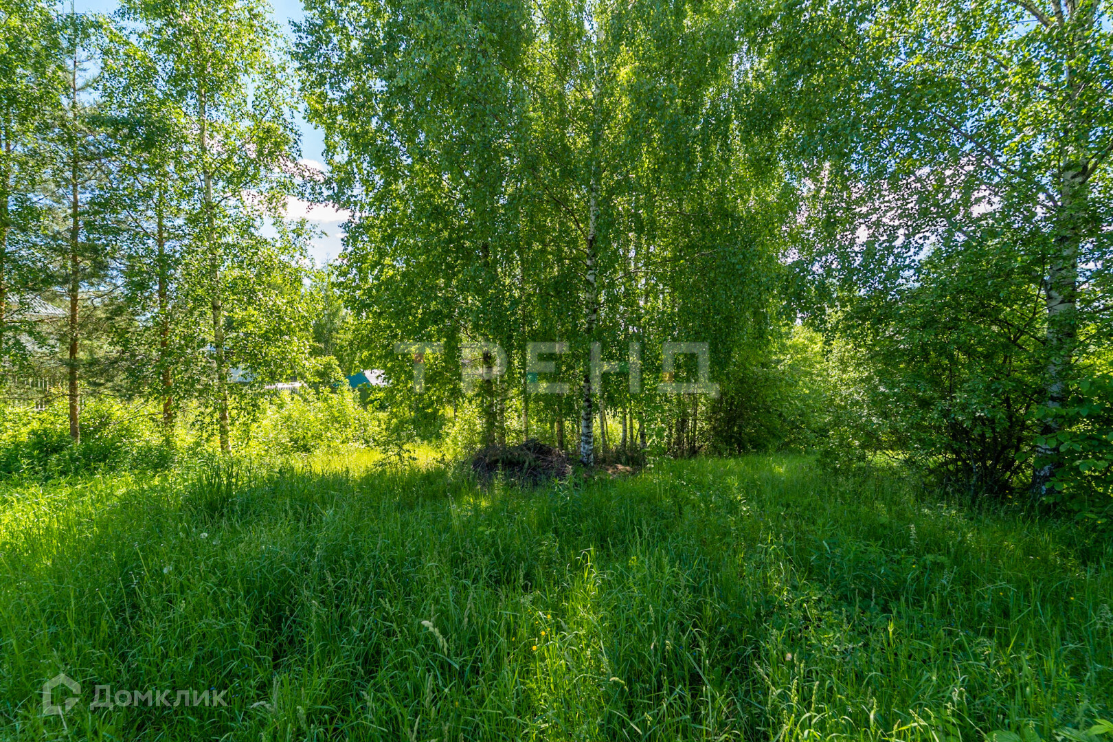 Купить Участок В Белоострове Недорого