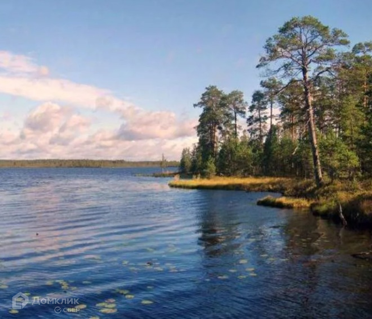 Белое озеро Вологодская область природа
