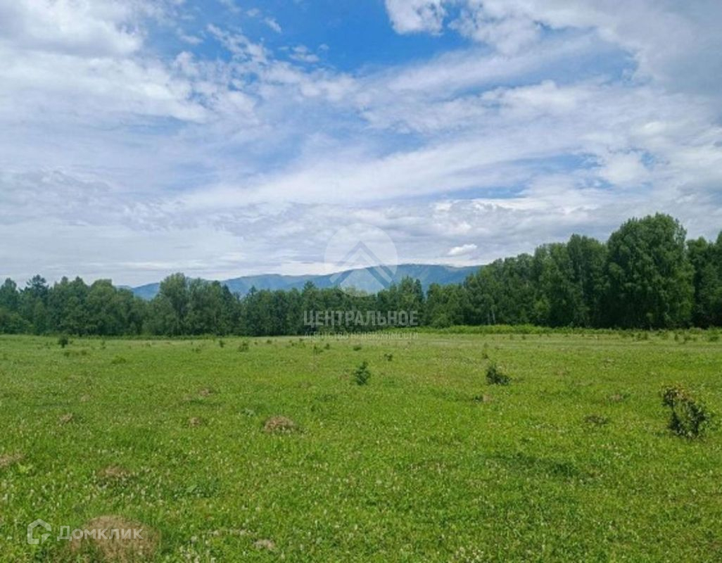 Купить Дом В Замульта Республика Алтай