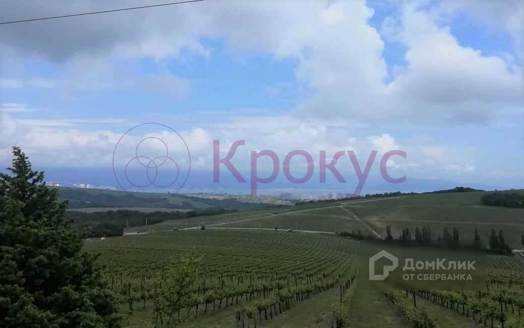 Село федотовка новороссийск карта