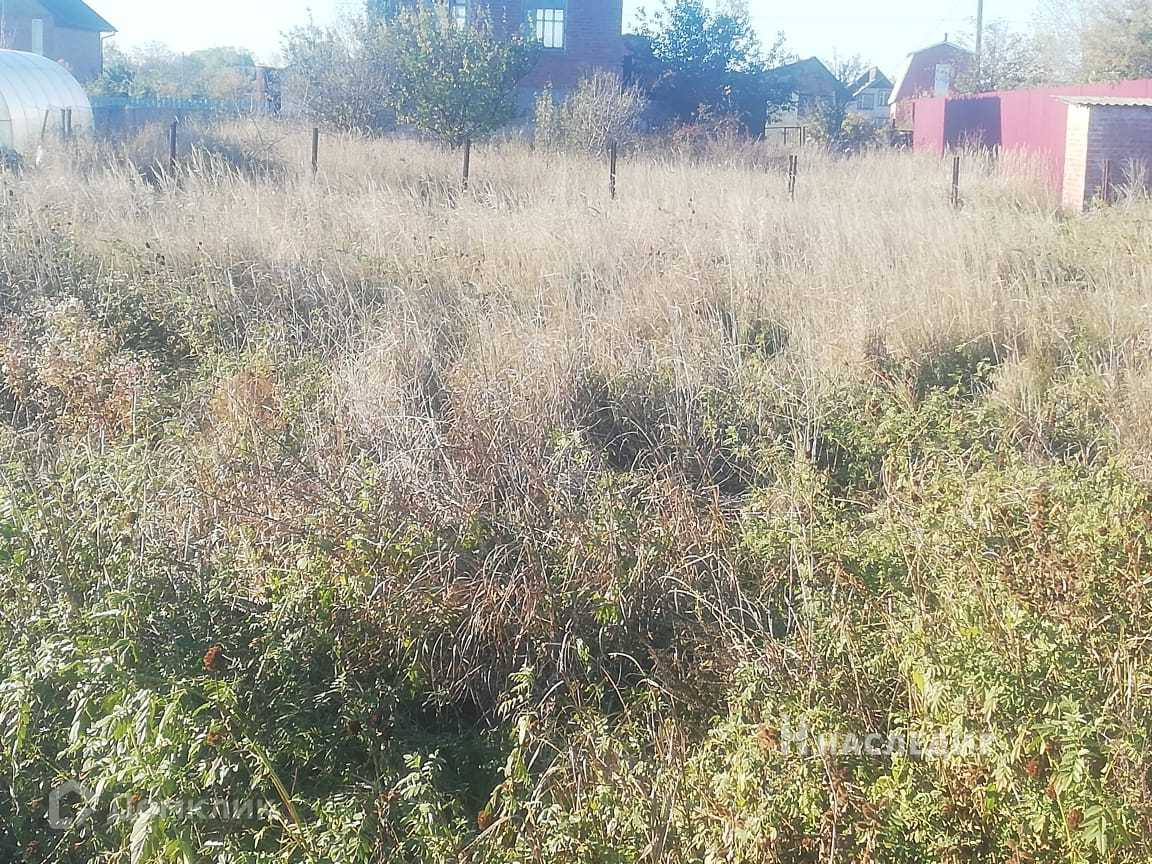 Донское садоводческое товарищество.