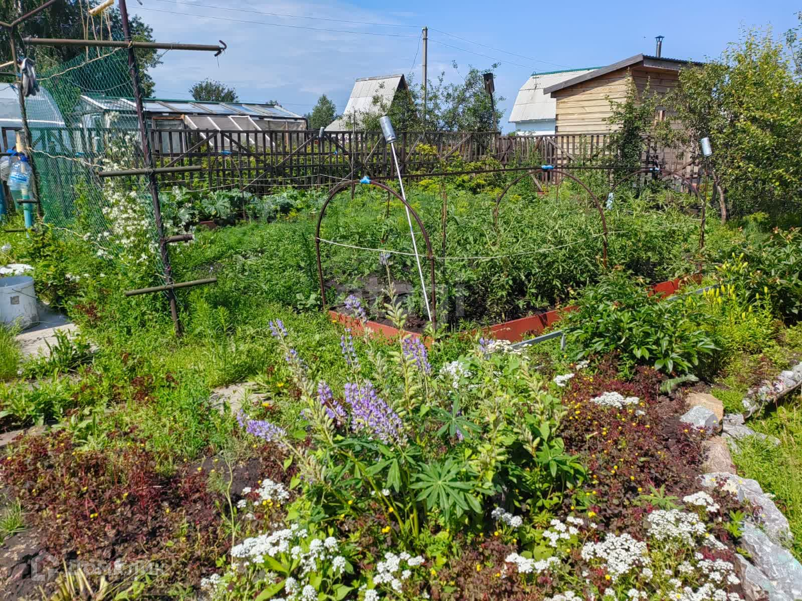 Купить Дачу В Бердске Снт Запрудный