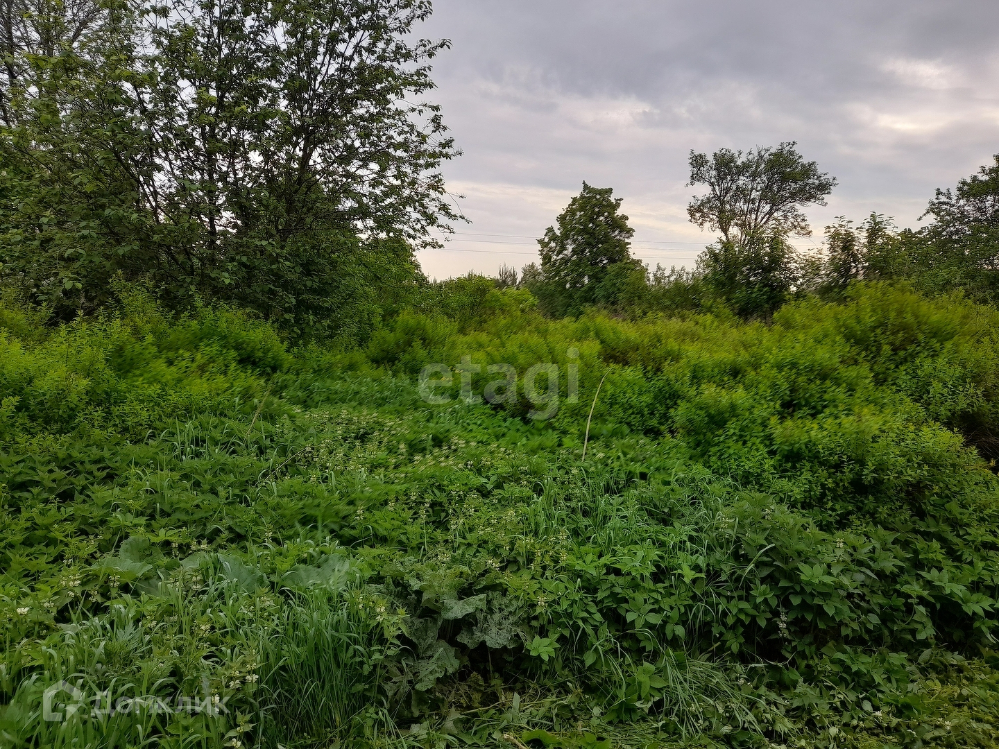 Куплю Участок В Псковском Районе Недорого