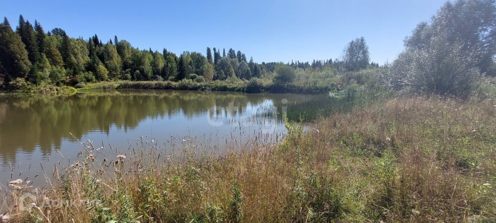 Купить Участок В Балахонке Кемерово