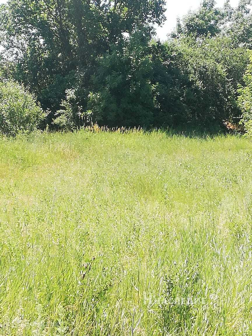 Продажа Участков В Ростовской Области