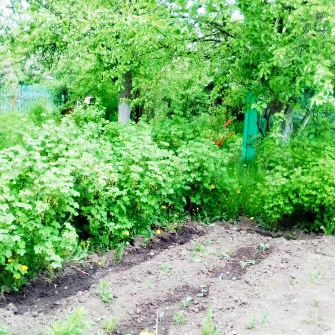 Домклик Купить Дом В Рязани
