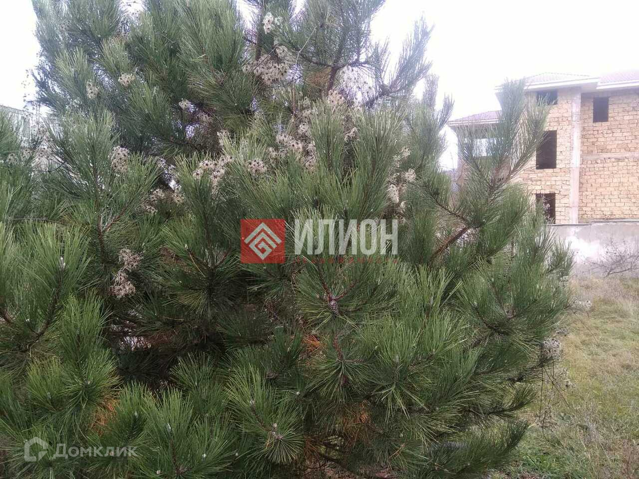 Купить Дом В Кизиловом Севастополь