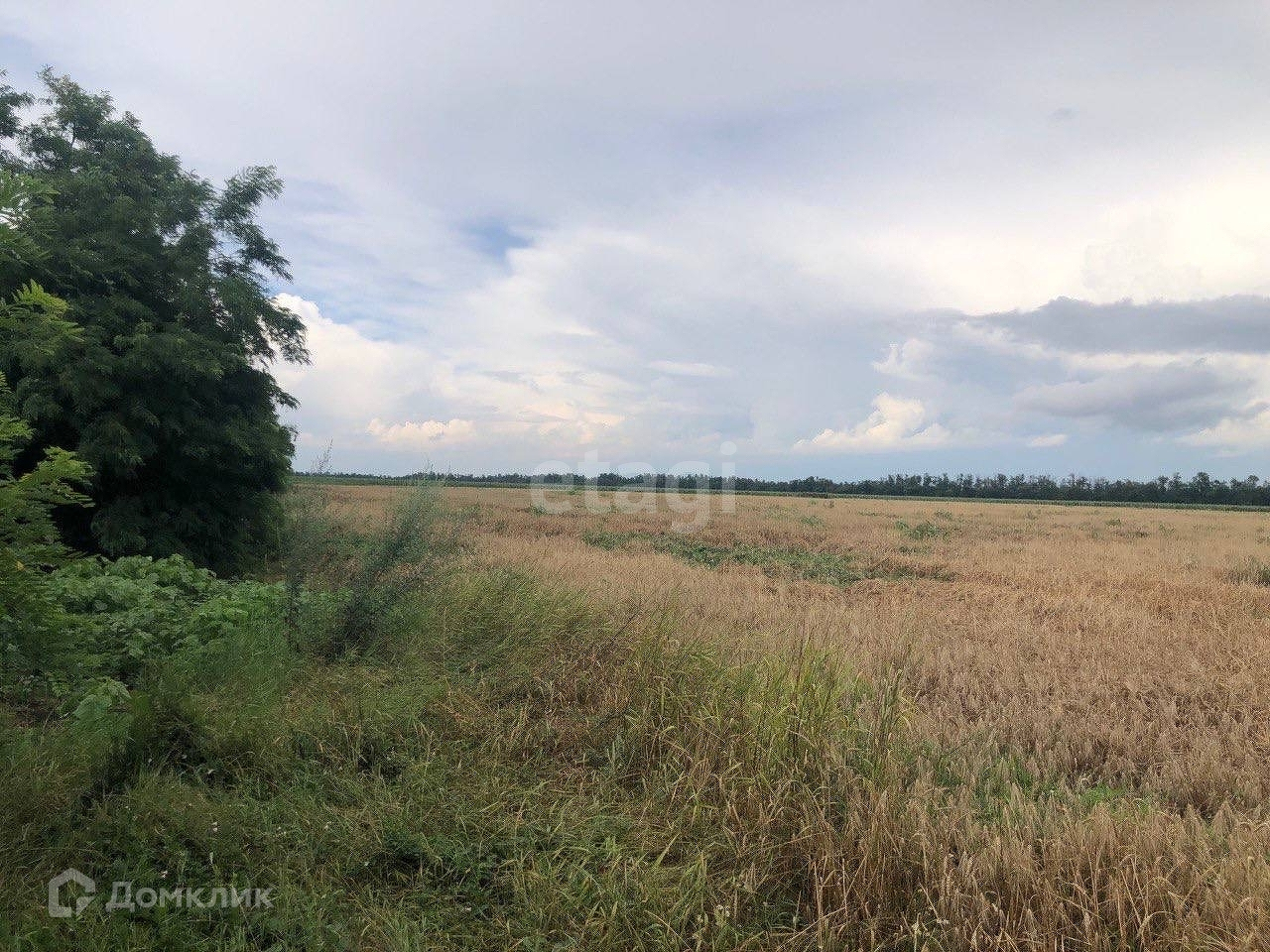 Купить Участок В Красном Дагестане Апшеронский Район