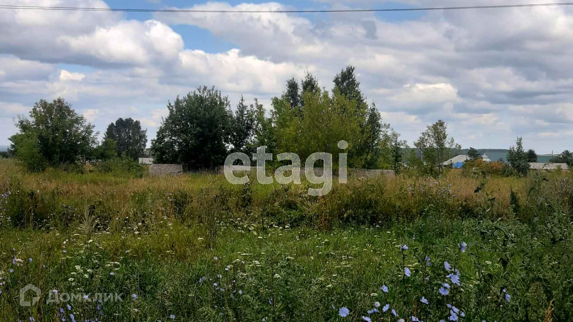 Купить Участок В Лебедевке Искитимского Района