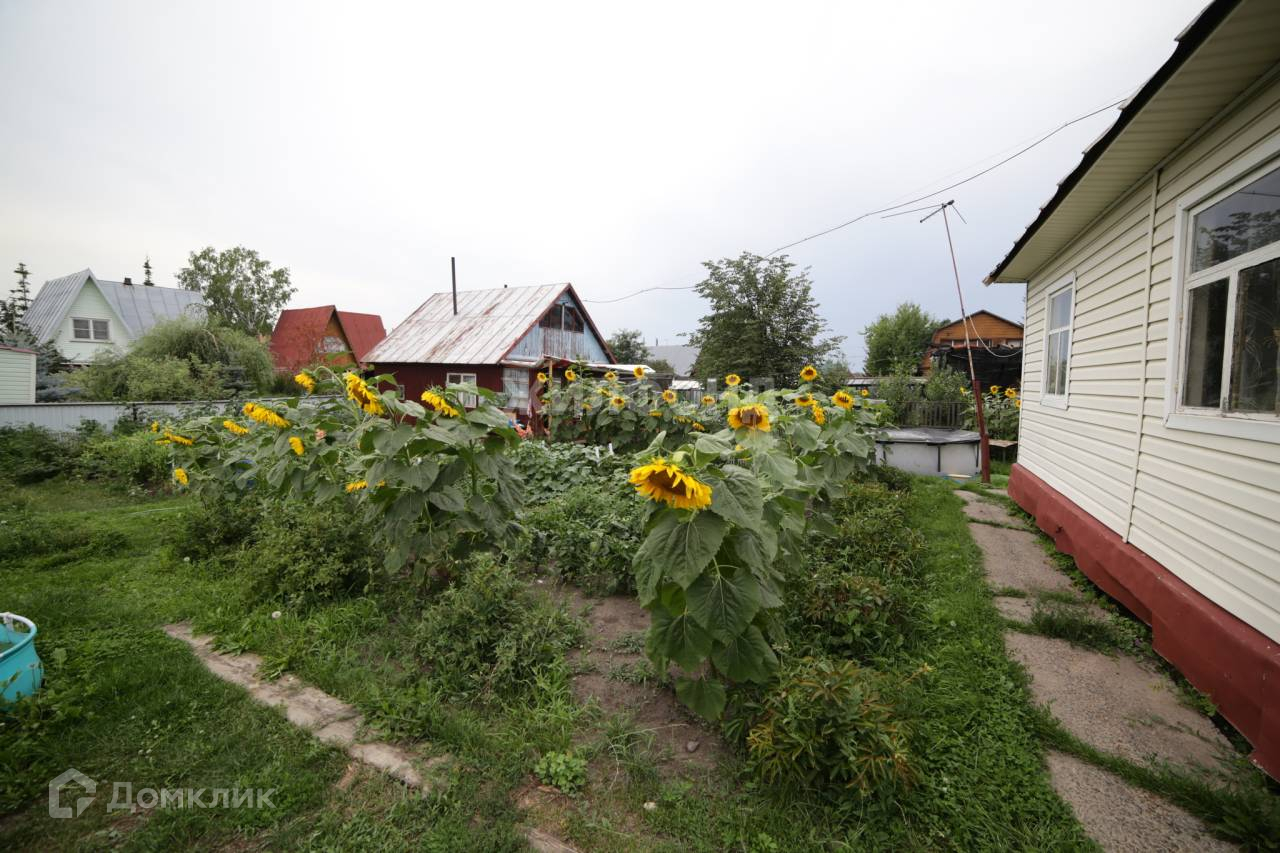 Новосибирск Купить Дачу В Снт Ивушка