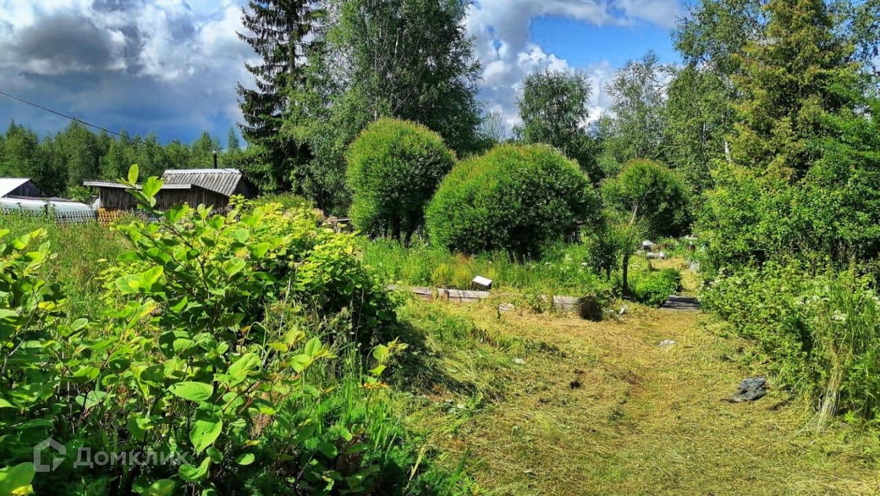 Купить Дом В Неелово Псковской Области