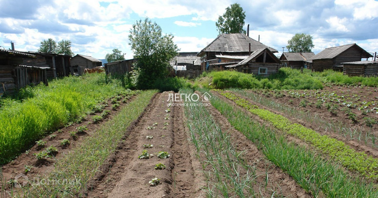 Дача и огород (снт). Деревенский огород. Сад огород в кумертау. Огород в школе. Огород в снт.