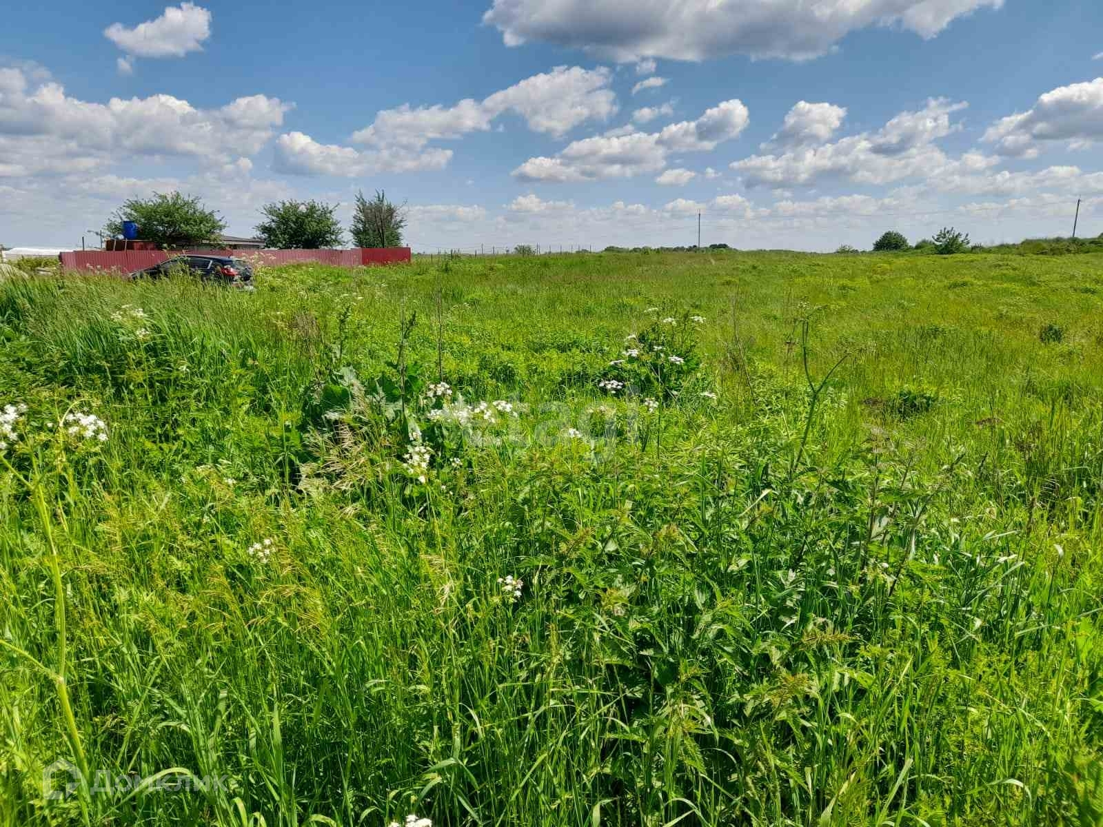 Купить Земельный Участок В Брянской Области