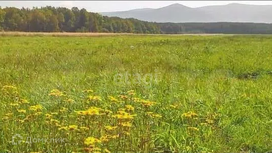 Купить Дом В Селе Бычиха Хабаровского Района