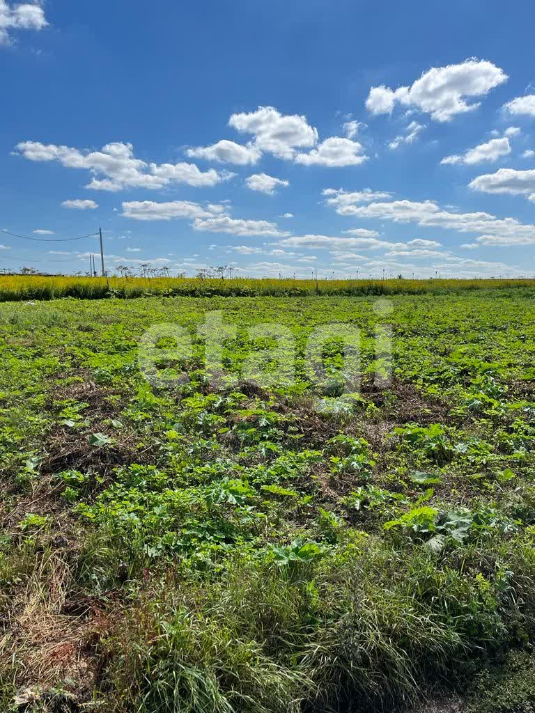 Купить участок, 17 сот., ИЖС по адресу Тульская область, Новомосковск за  950 000 руб. в Домклик — поиск, проверка, безопасная сделка с жильем в  офисе Сбербанка.