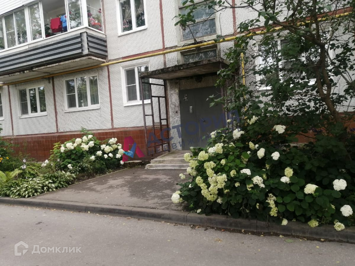 Авито Купить Квартиру Суворов Пр Мира