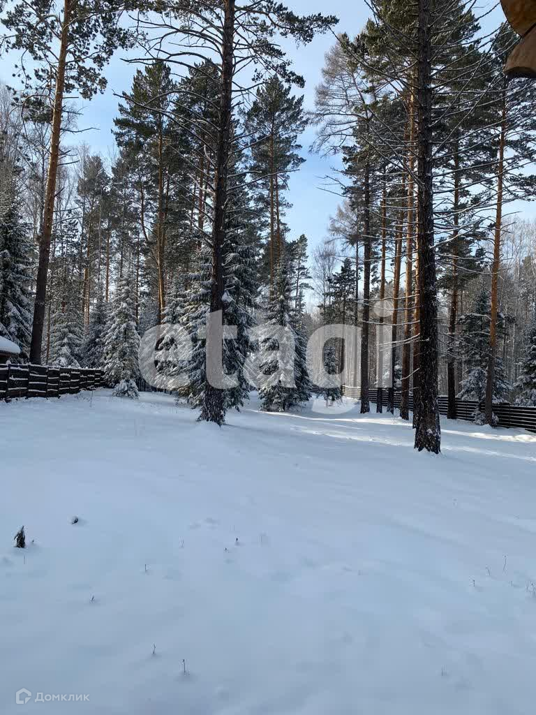 Купить участок, 22.4 сот., Садовый по адресу Красноярский край, городской  округ Дивногорск, село Овсянка, улица Новосёлов-2, 281 за 2 650 000 руб. в  Домклик — поиск, проверка, безопасная сделка с жильем в офисе Сбербанка.