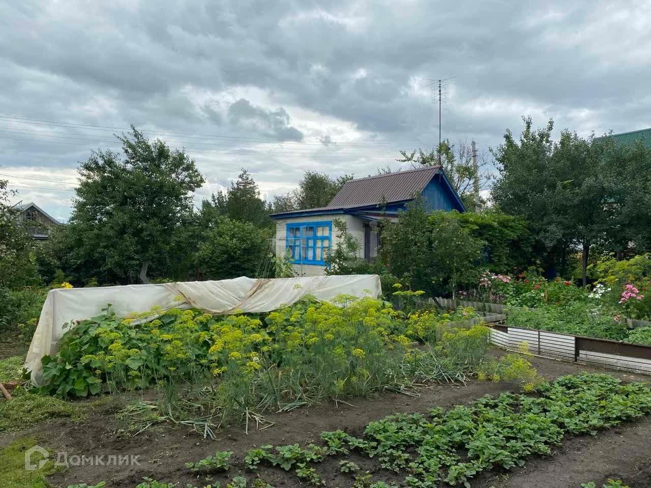 Снт Саратов Купить Дачу