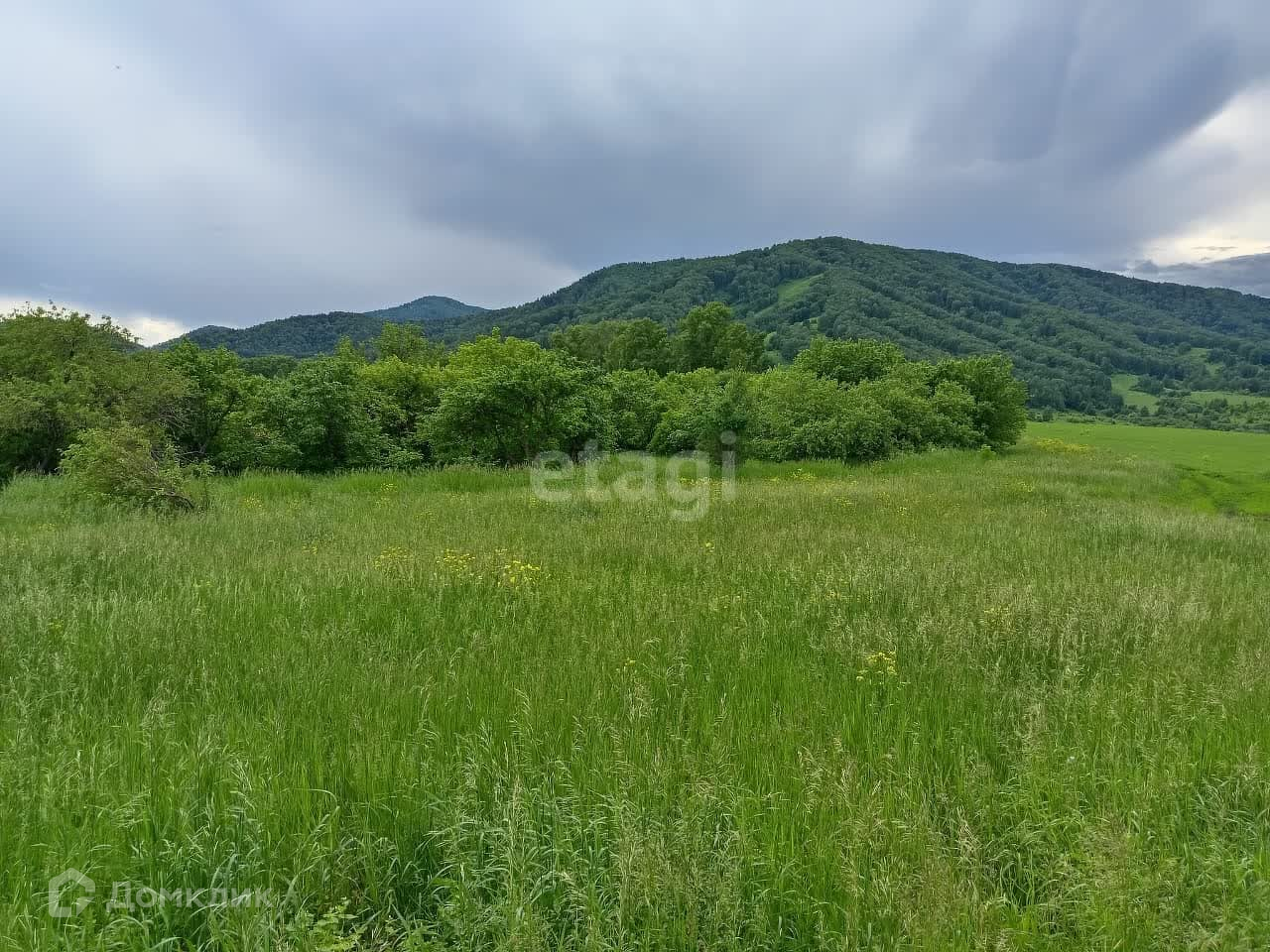 Купить участок, 1180 сот., Садовый по адресу Алтайский район, село  Макарьевка за 1 600 000 руб. в Домклик — поиск, проверка, безопасная сделка  с жильем в офисе Сбербанка.